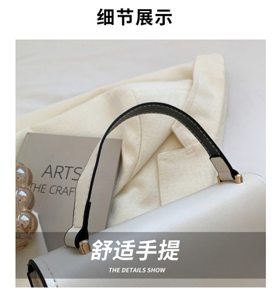 Cross-border Bag Women's Bag 2025 New Trendy Fashionable All-match Shoulder Bag Women's ins Internet Popular Foreign Style Portable Crossbody Bag_img_8